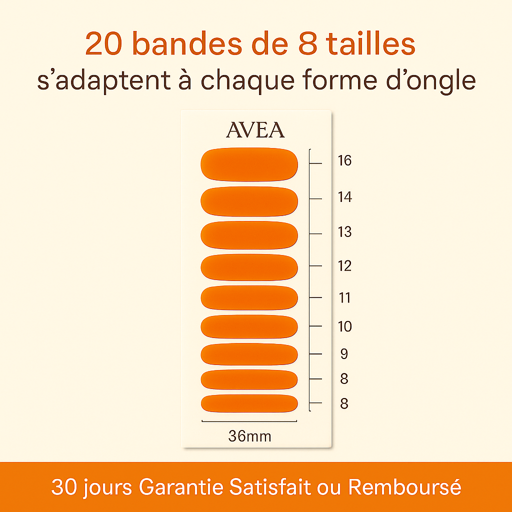 Pack Découverte