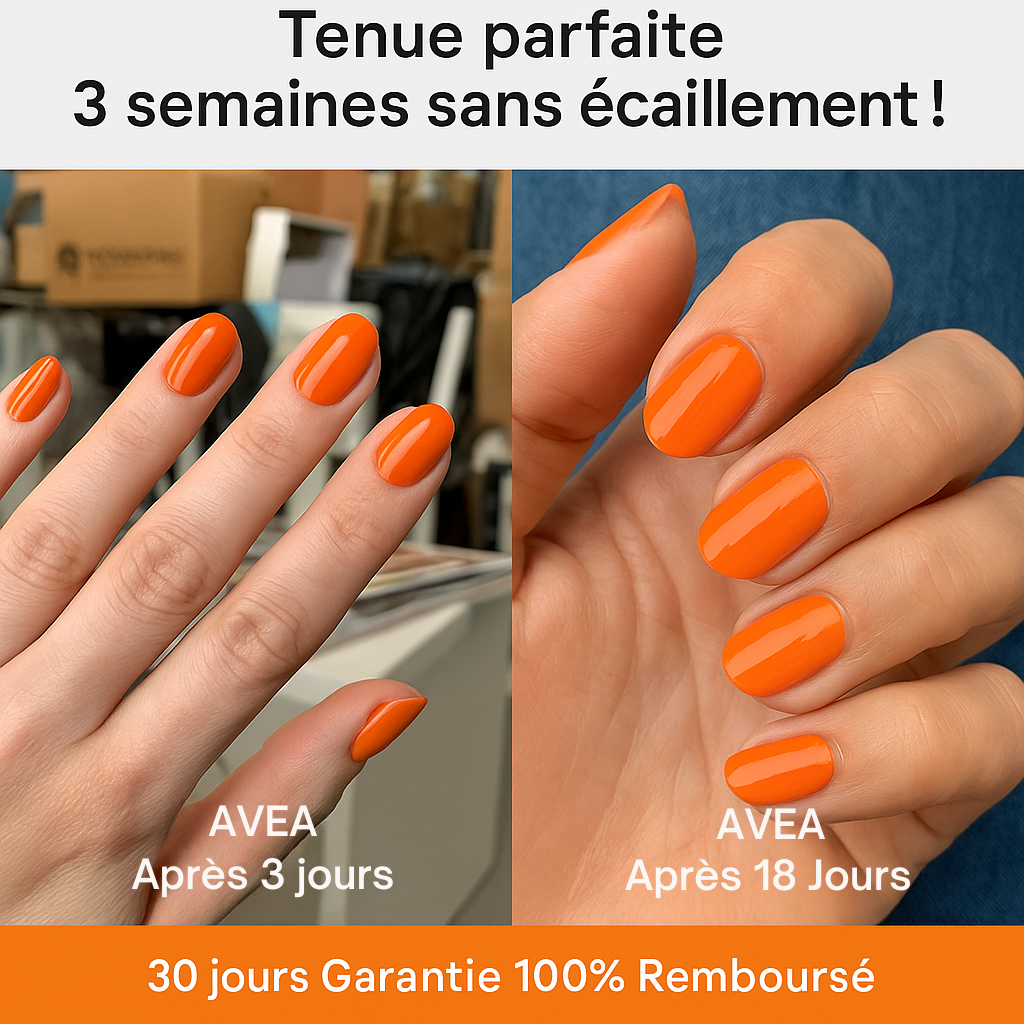 Pack Découverte